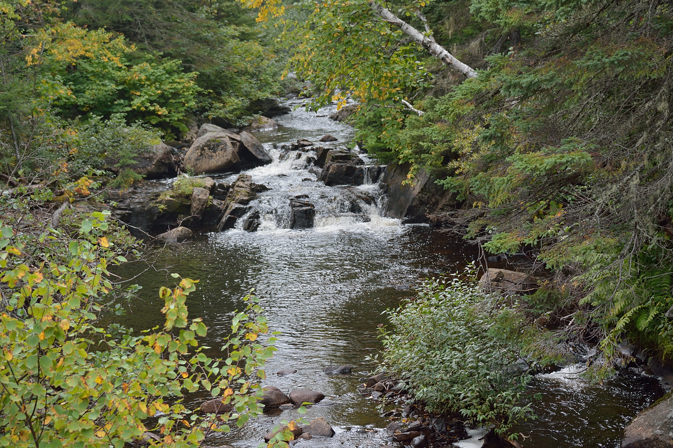 Pourvoirie Charlevoix