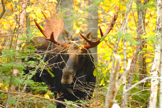 Famille pourvoirie Charlevoix